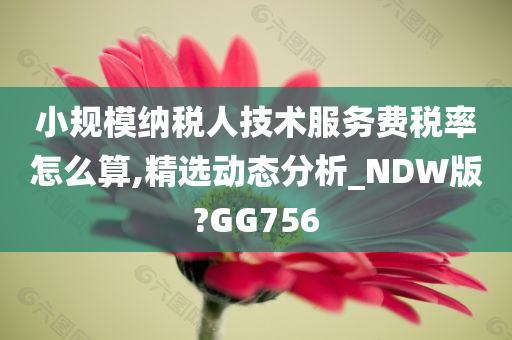 小规模纳税人技术服务费税率怎么算,精选动态分析_NDW版?GG756