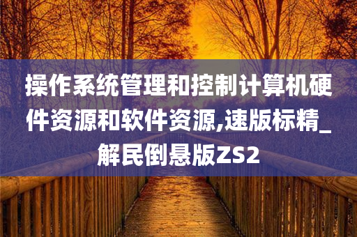 操作系统管理和控制计算机硬件资源和软件资源,速版标精_解民倒悬版ZS2