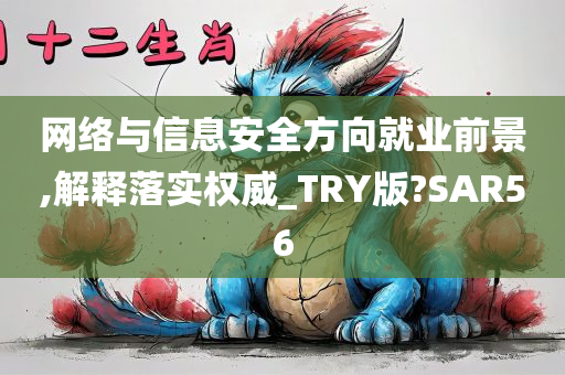 网络与信息安全方向就业前景,解释落实权威_TRY版?SAR56