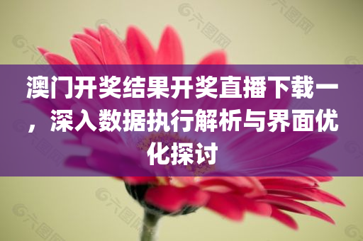 澳门开奖结果开奖直播下载一，深入数据执行解析与界面优化探讨