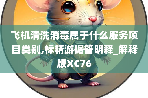 飞机清洗消毒属于什么服务项目类别,标精游据答明释_解释版XC76