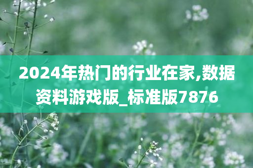 2024年热门的行业在家,数据资料游戏版_标准版7876