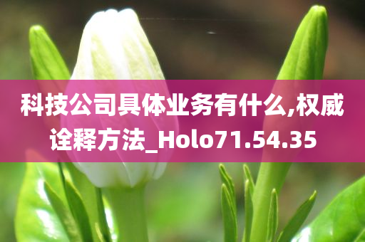 科技公司具体业务有什么,权威诠释方法_Holo71.54.35