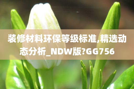 装修材料环保等级标准,精选动态分析_NDW版?GG756