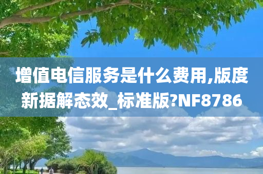 增值电信服务是什么费用,版度新据解态效_标准版?NF8786