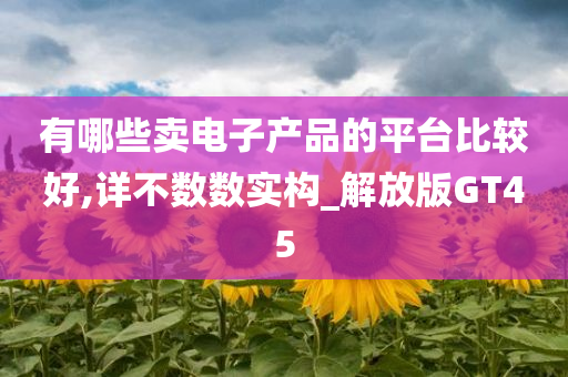 有哪些卖电子产品的平台比较好,详不数数实构_解放版GT45