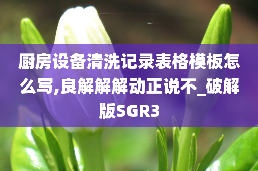 厨房设备清洗记录表格模板怎么写,良解解解动正说不_破解版SGR3