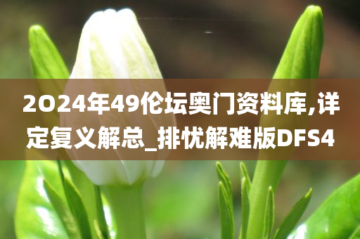 2O24年49伦坛奥门资料库,详定复义解总_排忧解难版DFS4