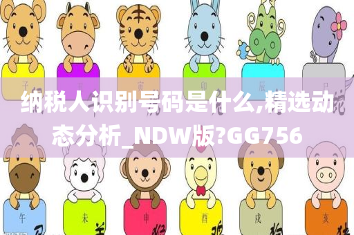 纳税人识别号码是什么,精选动态分析_NDW版?GG756