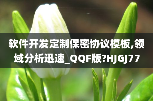 软件开发定制保密协议模板,领域分析迅速_QQF版?HJGJ77