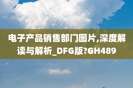 电子产品销售部门图片,深度解读与解析_DFG版?GH489