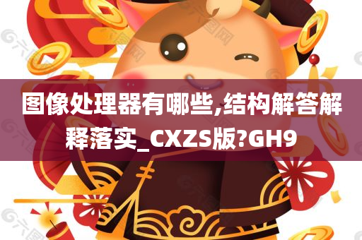 图像处理器有哪些,结构解答解释落实_CXZS版?GH9