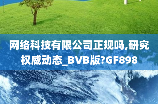 网络科技有限公司正规吗,研究权威动态_BVB版?GF898