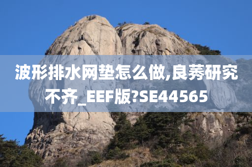 波形排水网垫怎么做,良莠研究不齐_EEF版?SE44565