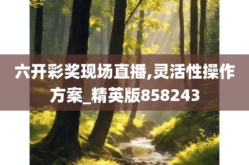 六开彩奖现场直播,灵活性操作方案_精英版858243