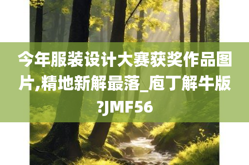 今年服装设计大赛获奖作品图片,精地新解最落_庖丁解牛版?JMF56