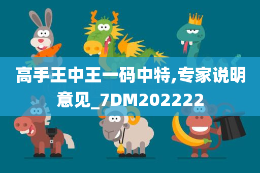 高手王中王一码中特,专家说明意见_7DM202222