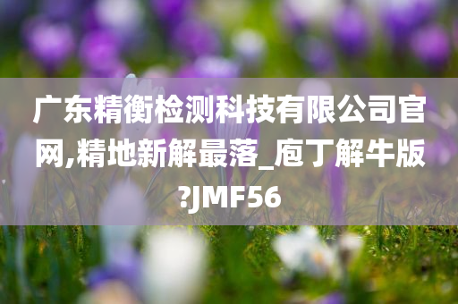 广东精衡检测科技有限公司官网,精地新解最落_庖丁解牛版?JMF56