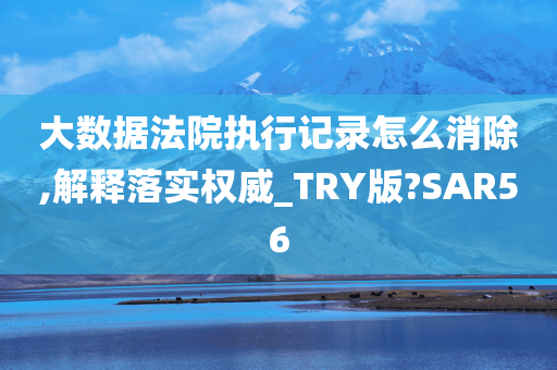 大数据法院执行记录怎么消除,解释落实权威_TRY版?SAR56