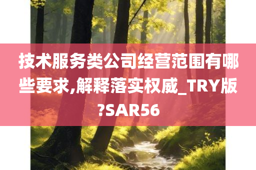 技术服务类公司经营范围有哪些要求,解释落实权威_TRY版?SAR56