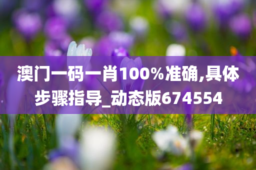 澳门一码一肖100%准确,具体步骤指导_动态版674554