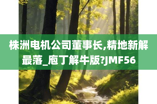 株洲电机公司董事长,精地新解最落_庖丁解牛版?JMF56