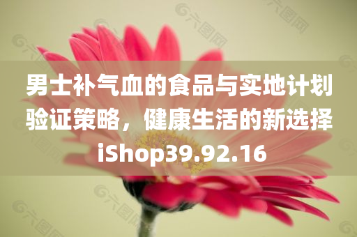 男士补气血的食品与实地计划验证策略，健康生活的新选择 iShop39.92.16