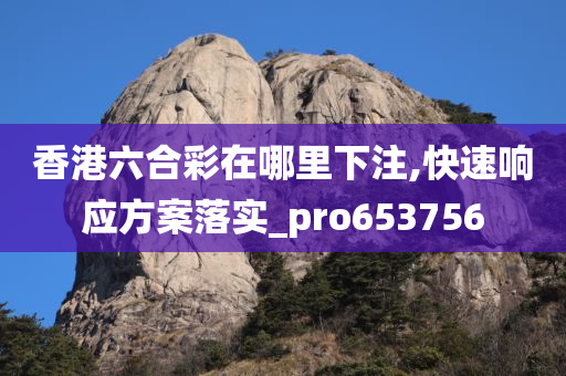 香港六合彩在哪里下注,快速响应方案落实_pro653756