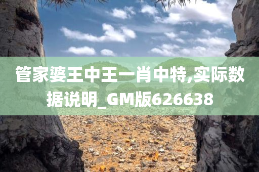 管家婆王中王一肖中特,实际数据说明_GM版626638