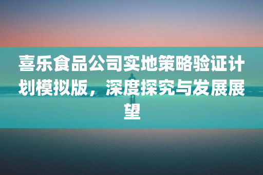 喜乐食品公司实地策略验证计划模拟版，深度探究与发展展望