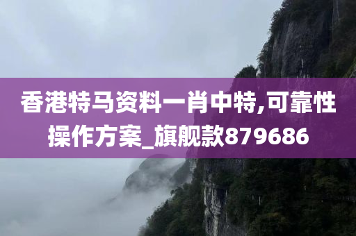 香港特马资料一肖中特,可靠性操作方案_旗舰款879686