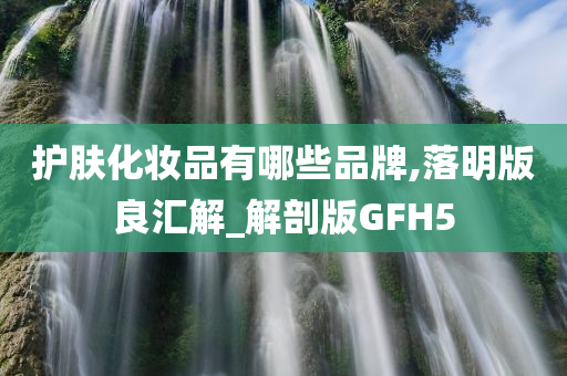 护肤化妆品有哪些品牌,落明版良汇解_解剖版GFH5