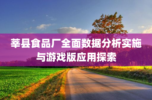 莘县食品厂全面数据分析实施与游戏版应用探索