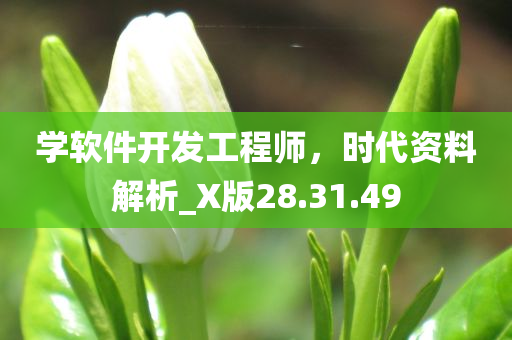 学软件开发工程师，时代资料解析_X版28.31.49