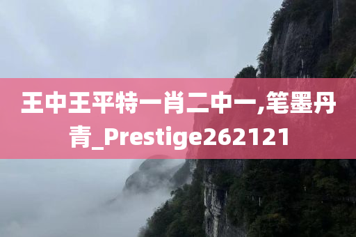 王中王平特一肖二中一,笔墨丹青_Prestige262121