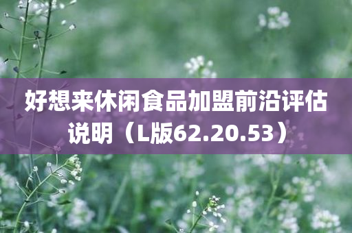 好想来休闲食品加盟前沿评估说明（L版62.20.53）