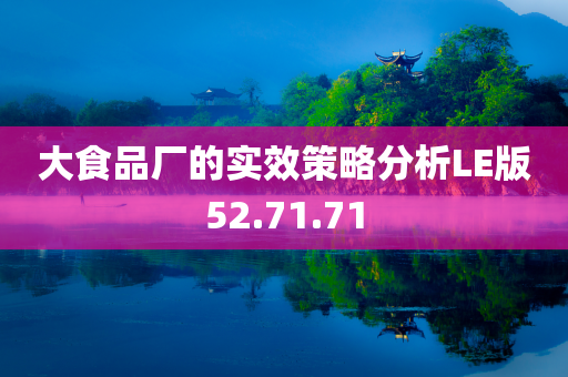 大食品厂的实效策略分析LE版52.71.71