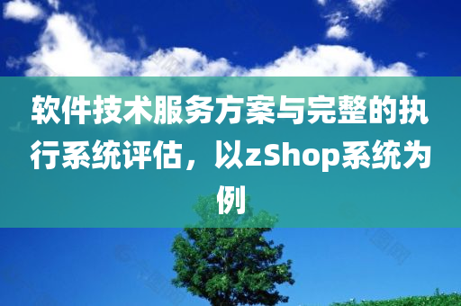 软件技术服务方案与完整的执行系统评估，以zShop系统为例