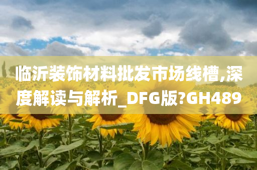 临沂装饰材料批发市场线槽,深度解读与解析_DFG版?GH489