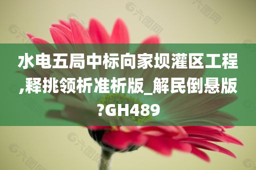 水电五局中标向家坝灌区工程,释挑领析准析版_解民倒悬版?GH489