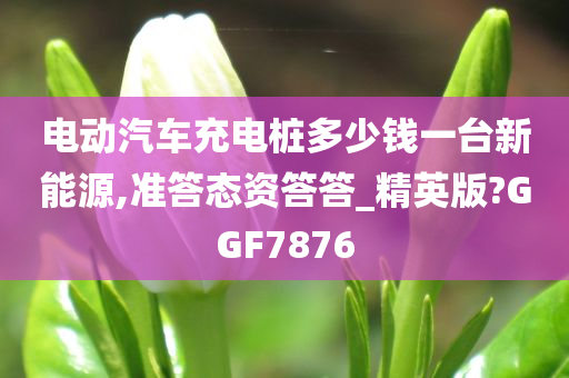 电动汽车充电桩多少钱一台新能源,准答态资答答_精英版?GGF7876