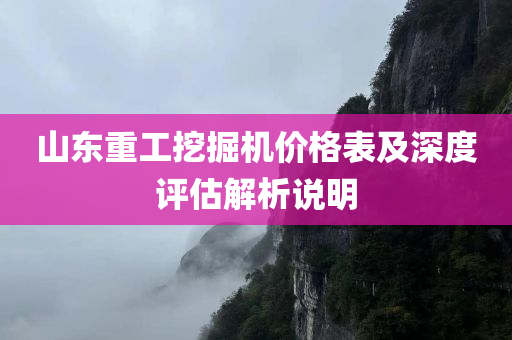 山东重工挖掘机价格表及深度评估解析说明