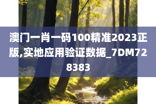 澳门一肖一码100精准2023正版,实地应用验证数据_7DM728383