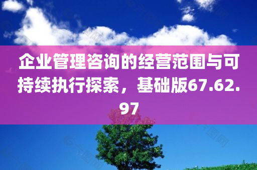 企业管理咨询的经营范围与可持续执行探索，基础版67.62.97