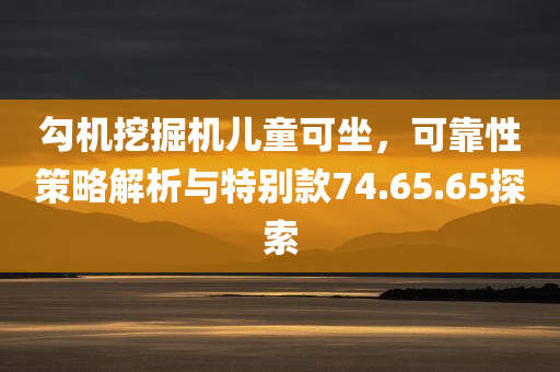 勾机挖掘机儿童可坐，可靠性策略解析与特别款74.65.65探索