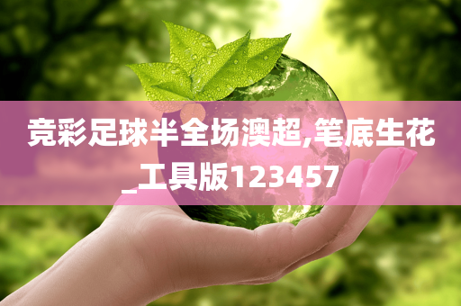 竞彩足球半全场澳超,笔底生花_工具版123457