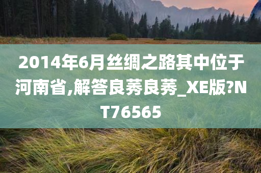 2014年6月丝绸之路其中位于河南省,解答良莠良莠_XE版?NT76565