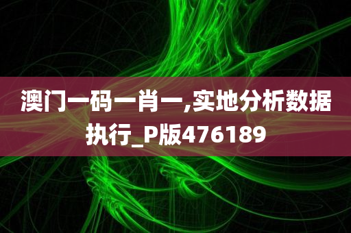 澳门一码一肖一,实地分析数据执行_P版476189