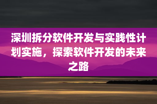 深圳拆分软件开发与实践性计划实施，探索软件开发的未来之路