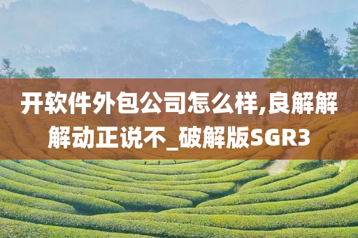 开软件外包公司怎么样,良解解解动正说不_破解版SGR3